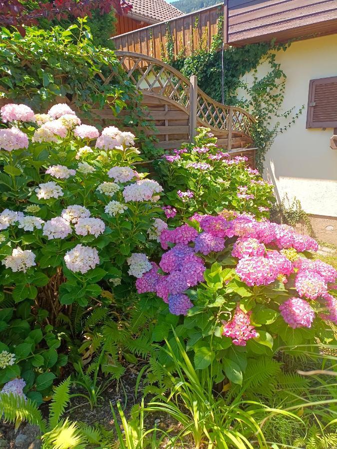 Haus Flora - Ferienwohnung Bodensdorf Kültér fotó